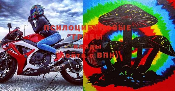 сатива Михайлов