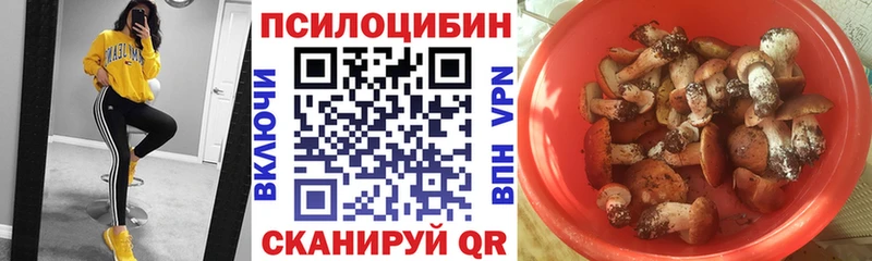 Псилоцибиновые грибы Cubensis kraken вход Камешково